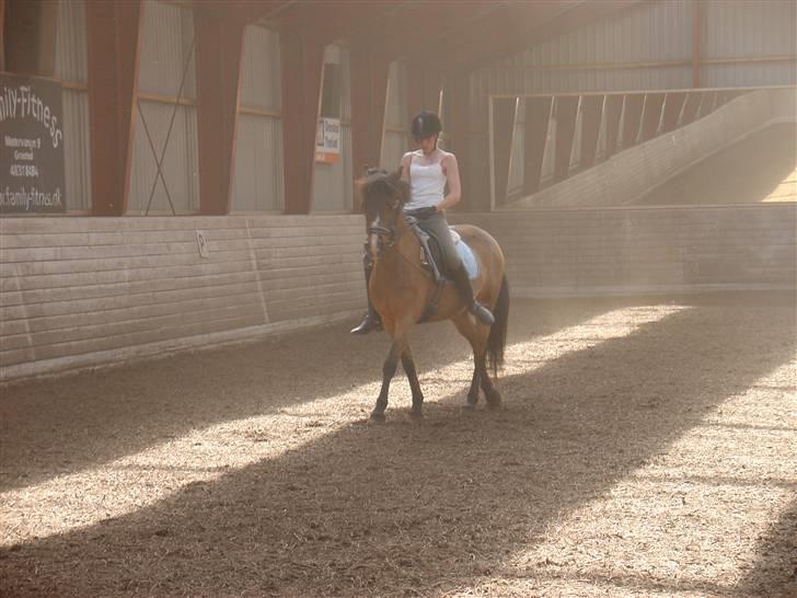 DSP Misty - 20. Shenkelvigning i skridt (:  Foto: Fie billede 20