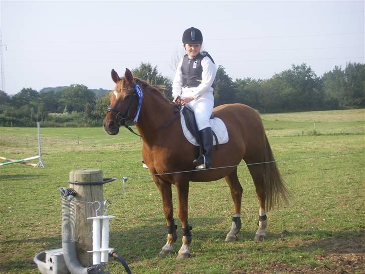 Anden særlig race Buddy <''3  MIN HELT EGEN - Uhh, vi stiller os lige op til fotografering;D Første lille stævne på Troldhøj gaard i spring;D Ja, hjemme stoppet du hele tiden foran springet;D Men der ude gik det bare over stok og sten :D billede 4