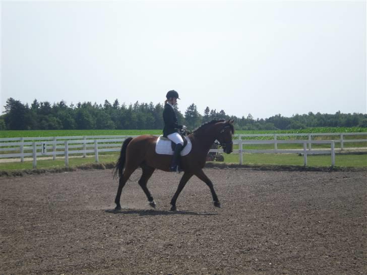 Anden særlig race Bento  - vores sidste stævne  - en LC 1 som vi vandt <3 billede 16