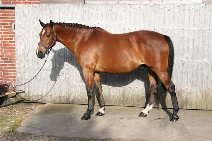 Oldenborg Mahjong †aflivet† R.I.P - Så blev Mahjong lige shinet op, lækker ik.. :o) billede 10