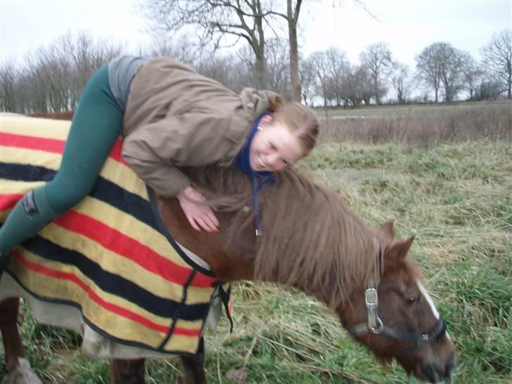 Welsh Cob (sec D) Casnewydd telynor - ¤8¤ *en a de sidste dage! Jeg smilte/grinte kun fordi jeg var sammen med dig min skat!, du fik mig altid til at smile/grine!, (´:, savner og elsker dig mere end noget andet bølle!, )´: Fra en a de sidste dage med ham )´: <3 billede 8