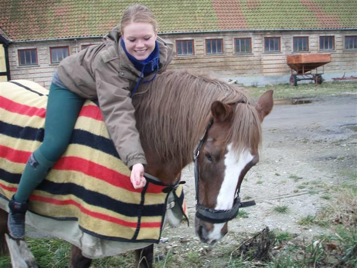 Welsh Cob (sec D) Casnewydd telynor - ¤16¤ Jeg elsker dig så meget basse, .. Du var altid opmærksom på mig (´: <3 .. Jeg kommer aldrig nogensinde til at kunne beskrive hvor meget jeg savner og elsker dig /´: <3 billede 16