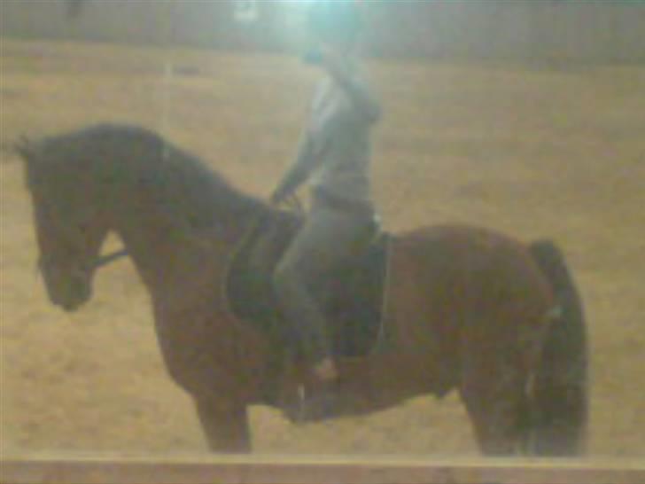 Anden særlig race Bento  - er lidt glad for dette billede - har selv taget det :D billede 19