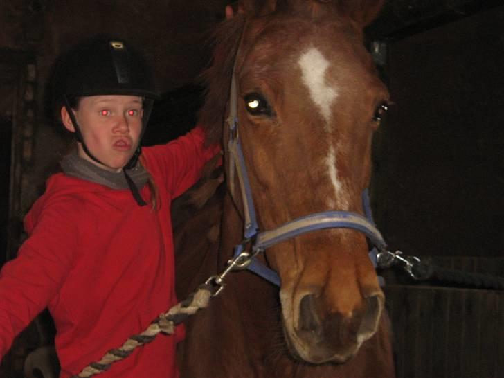 Anden særlig race Feifer  - De to smukke:D billede 14