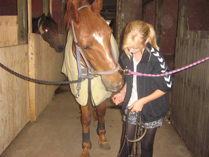 Anden særlig race Feifer  - Emma og feifer<3 billede 16