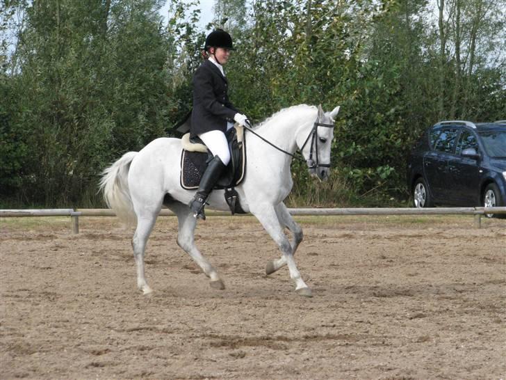 Connemara Maalings Mirabel B-PONY - Stævne i Skærbæk.. Foto: Magda.  billede 12