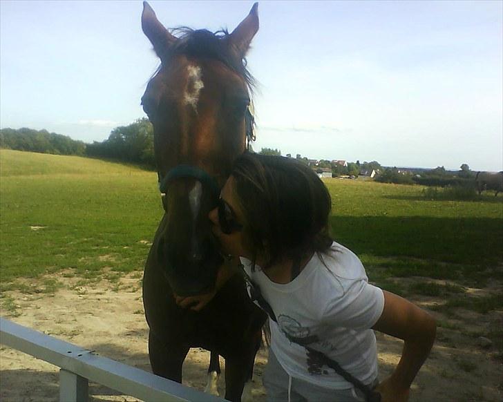 Anden særlig race | Cassie <3 *Vi ses :'(*  - #Juni 2009# Elskede Lutter <3 Foto: Sille <3 billede 16