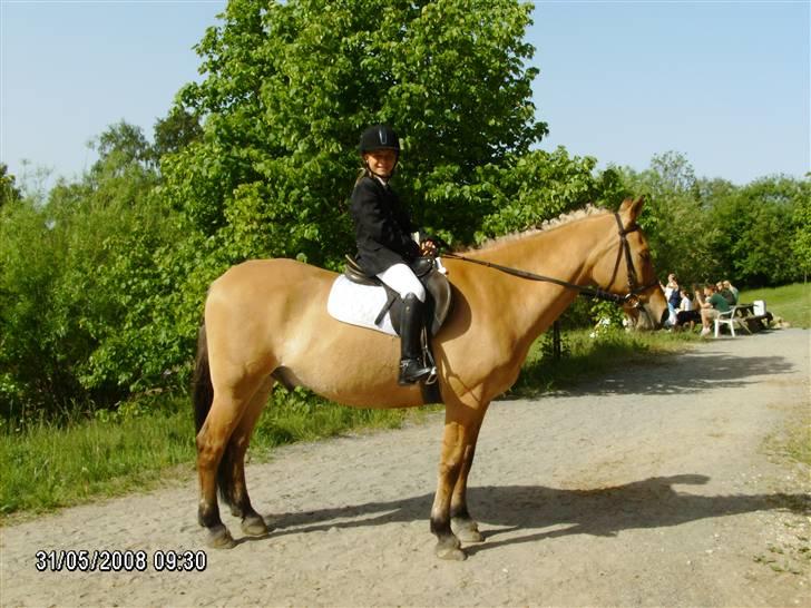 Anden særlig race Titan "Tidligere part" - mig til mit første stævne. billede 7