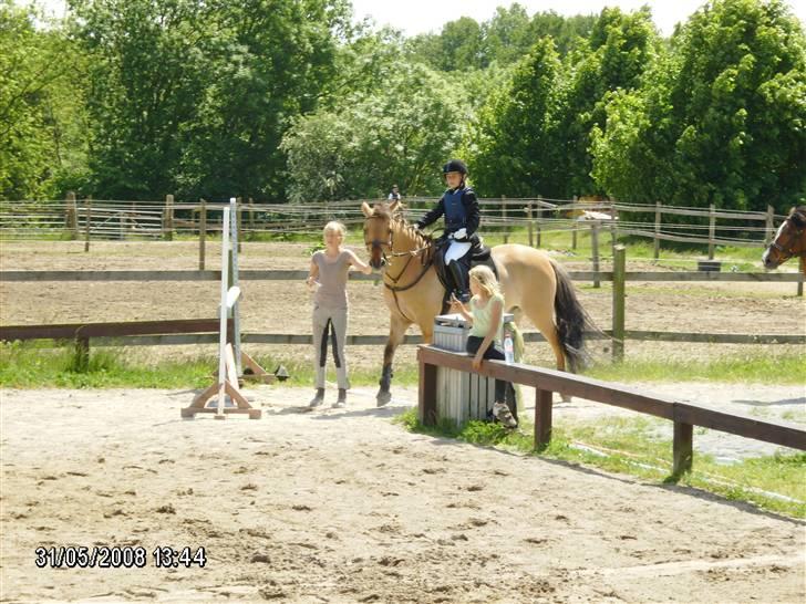 Anden særlig race Titan "Tidligere part" - vi står og venter på at jeg skal springe billede 8