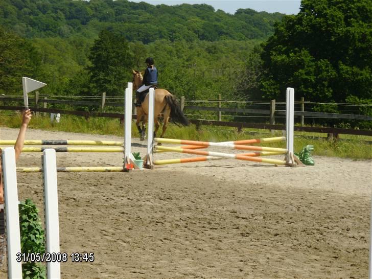 Anden særlig race Titan "Tidligere part" - vi er ok seje. billede 9