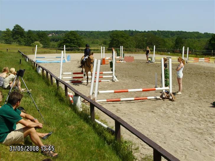 Anden særlig race Titan "Tidligere part" - vi springer!! han var så god! billede 10