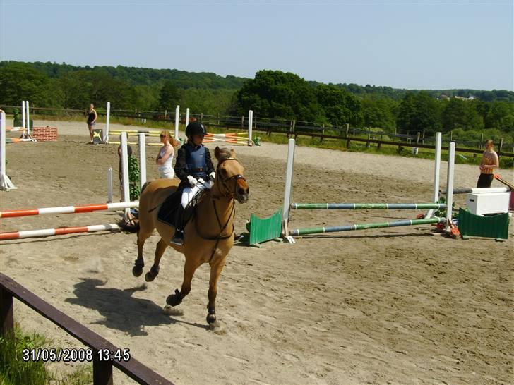 Anden særlig race Titan "Tidligere part" - klubmesterskab ;) billede 11
