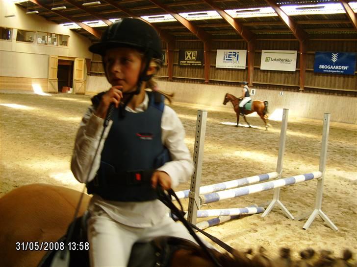 Anden særlig race Titan "Tidligere part" - hæ:) billede 12