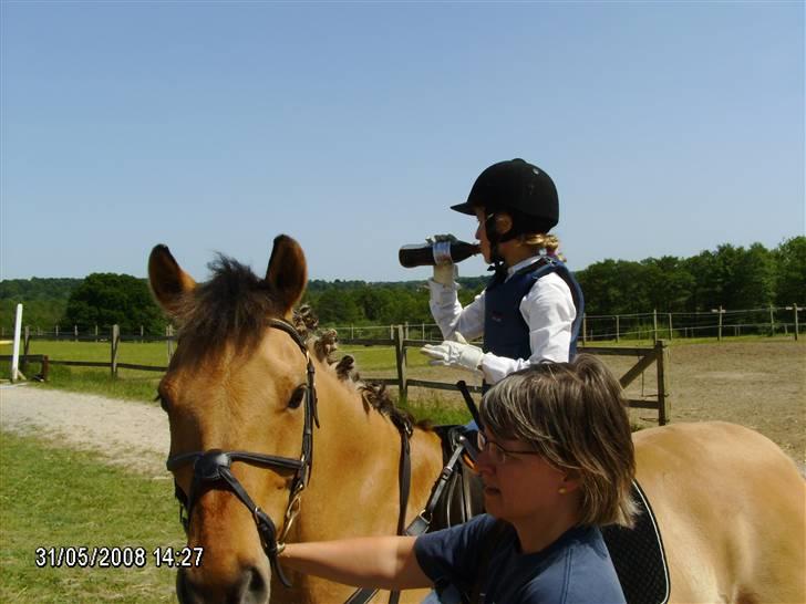 Anden særlig race Titan "Tidligere part" - :-). billede 13