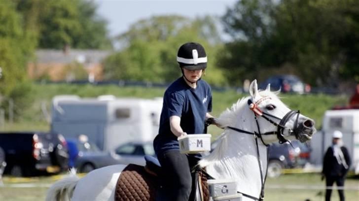 Anden særlig race Miss Steffanie R.I.P - nordic league<3 billede 1