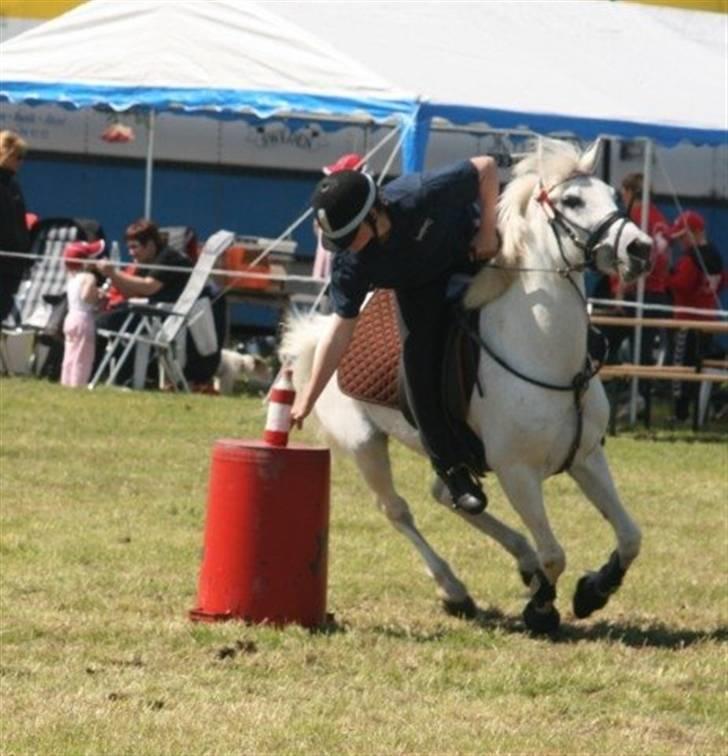 Anden særlig race Miss Steffanie R.I.P - nordic league billede 7