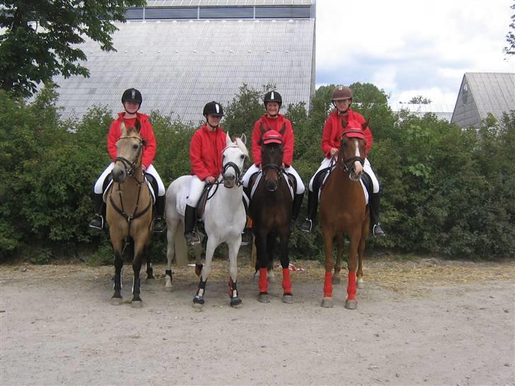 Anden særlig race Miss Steffanie R.I.P - her er vi RHEs to fodboldt hold til DM.. Vi vandt med begge hold og mig og stef er med på det ene:) billede 13