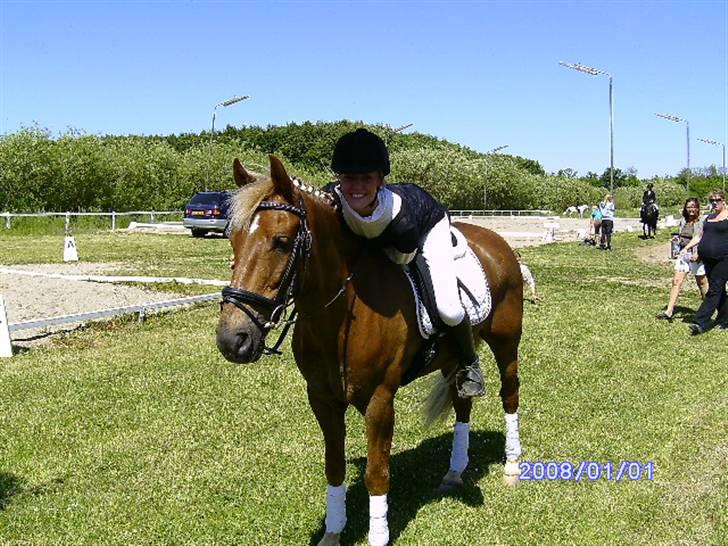 New Forest Benjamin - Da vi var frædige med at starte :) ..  og smidt stævnejakken :) <3 fik en flot 2.plads..  billede 12