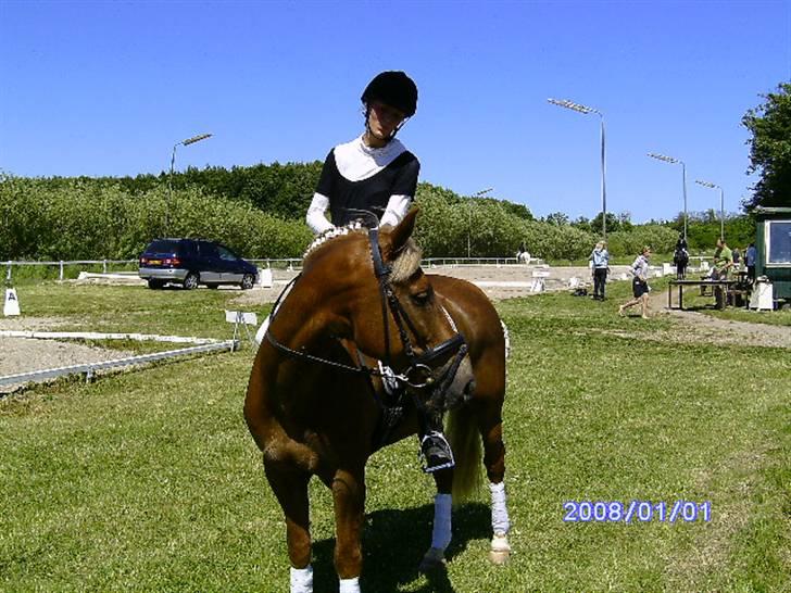 New Forest Benjamin - noget spændene snuske?? (HOPPER) :D  billede 13