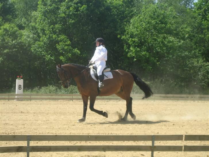 Anden særlig race Midnight Teardrop - Klubstævne (LC3) Så varmt vi måtte rude uden jakker :D billede 6