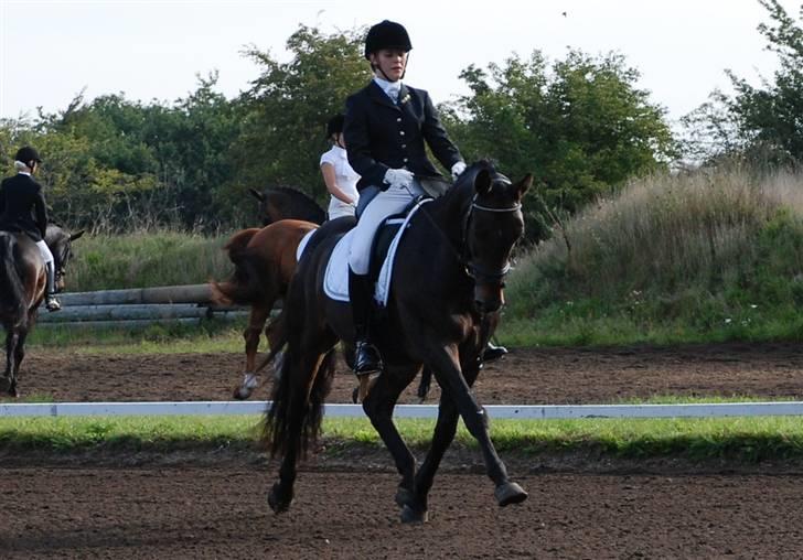 Oldenborg Oassis Helfin - Blære røven i en øgning :D <3 2008 billede 3