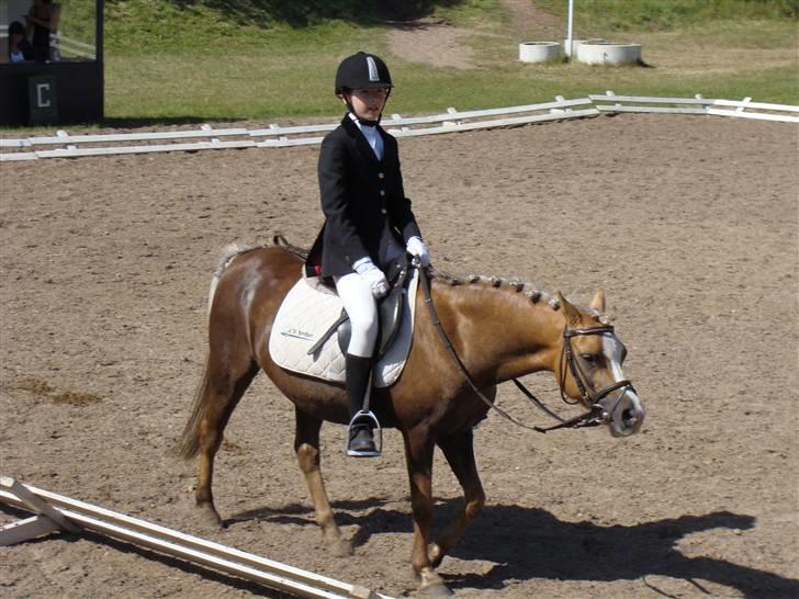 Anden særlig race Jamaica(red før sommer08) - Så er vi på banen XD  foto: hans billede 15