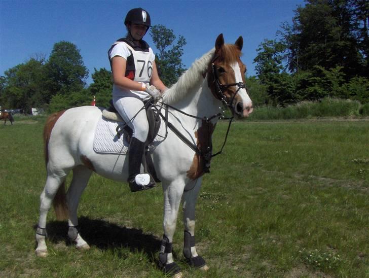 Pinto holger SOLGT ;( - Military den 1.juni- o8  nummer 76:D<3 billede 16