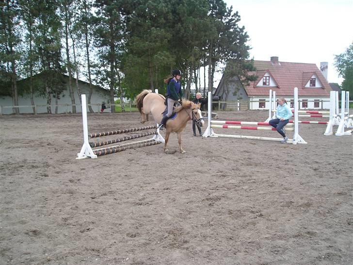 Anden særlig race nuggi - 9,,nug nug <3  billede 9