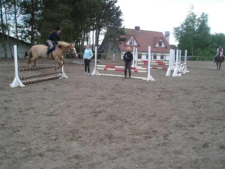 Anden særlig race nuggi - 10springer:) billede 10