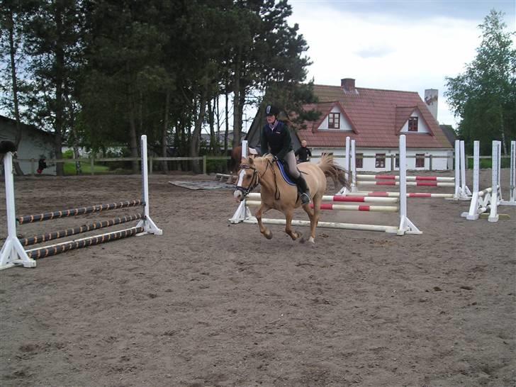 Anden særlig race nuggi - 12 billede 12