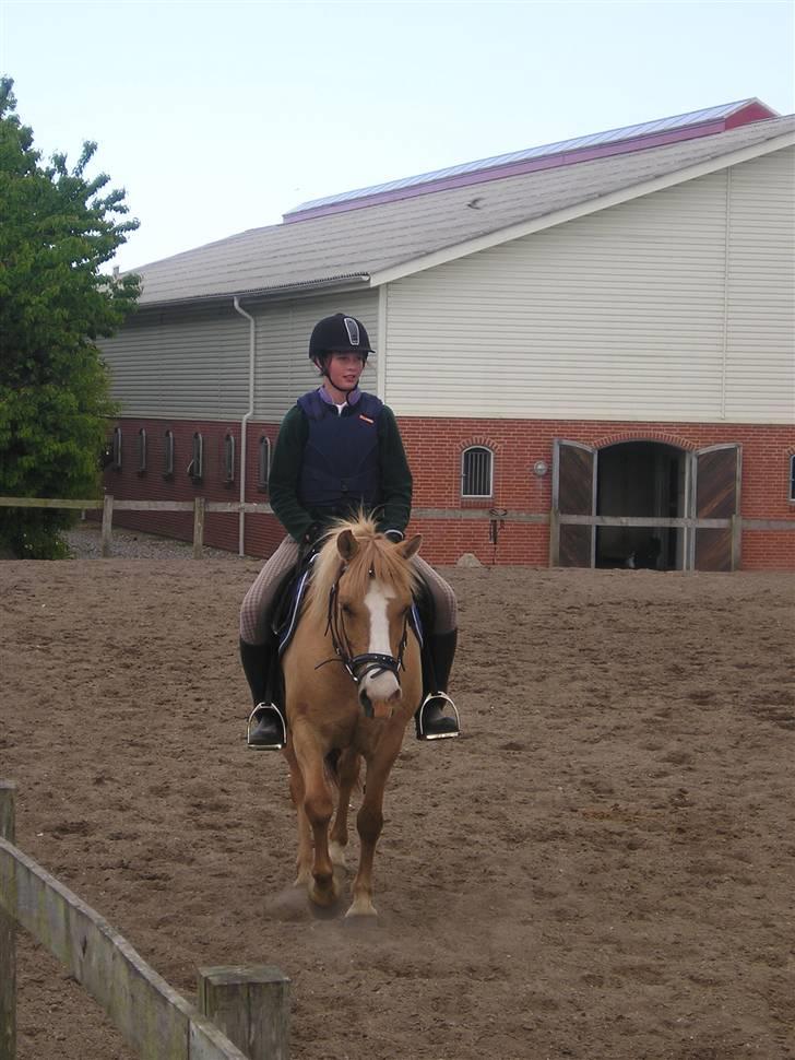 Anden særlig race nuggi - 13 billede 13