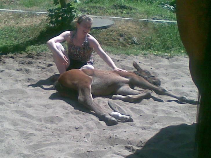 Dansk Varmblod Østergårdens Sabrina - Sabrina & miig (3 uger gammel)  billede 17