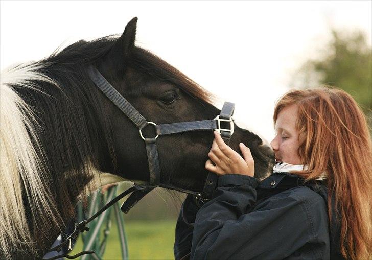 Irish Cob | Rain |  - ´fordi du er er en så fantastisk ven jeg kun finder én gang .. <3 vi er i vores eget lille eventyr .  billede 2