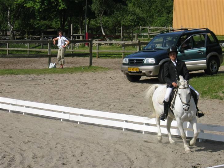 Welsh Mountain (sec A) Galantus *gl. passer* - vores første stævne og vi vandt ;p billede 18