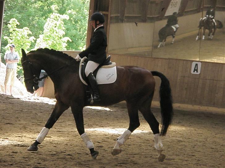 Oldenborg Aswan  - her varmer vi op til en LC2 billede 15