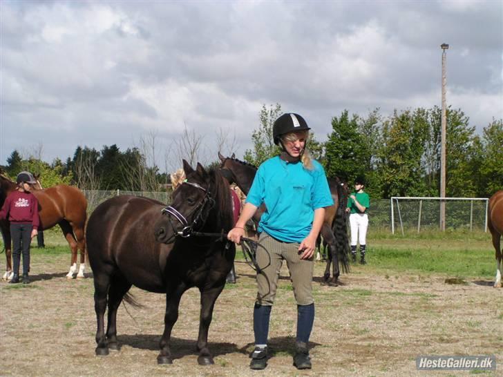 Anden særlig race Tarzan  - Min lille solstråle! 
Jeg vil aldrig nogensinde glemme dig, 
14 år af mit liv var med dig. 
R.I.P min skat! ♥ billede 1