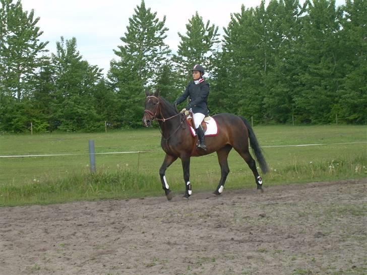 Anden særlig race Liberty - os igen.. billede 4
