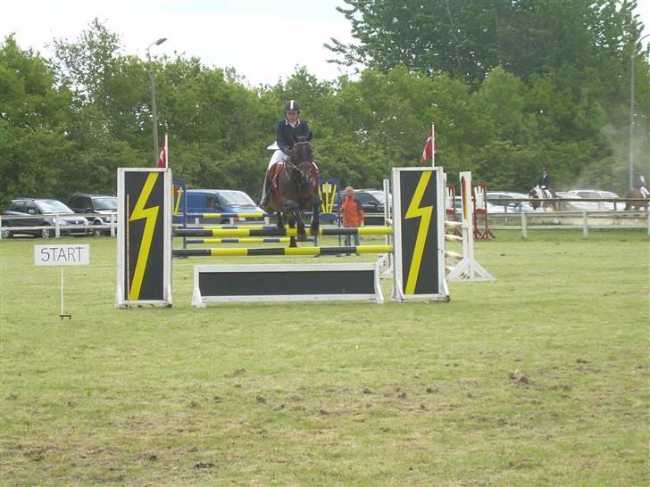 Anden særlig race Liberty - stævne i bording billede 5