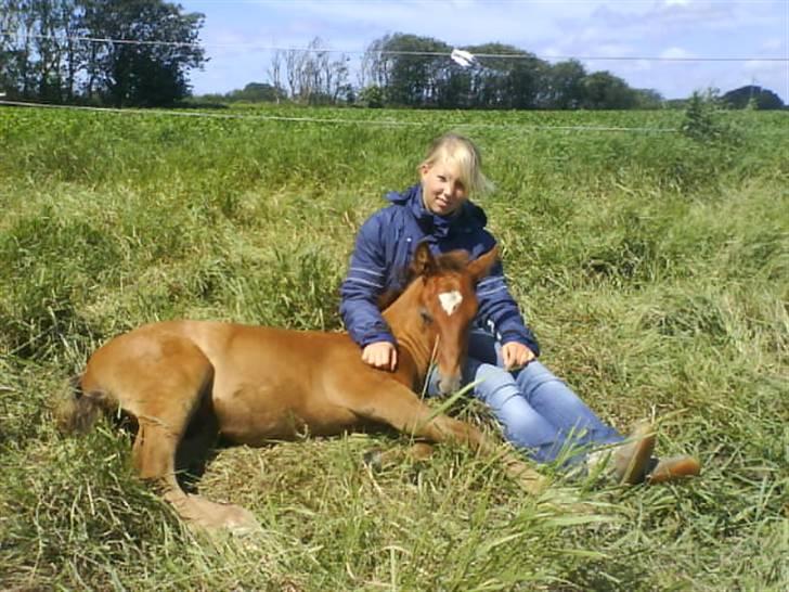 New Forest Cavallino - SOLGT - så. nu er Cavallino 1 måned og 20 dage gammel :) og vi nyder ham i fulde drag billede 10