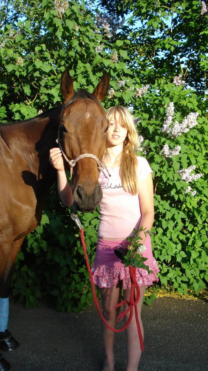 Fuldblod (XX) Tramal (Solgt) billede 8