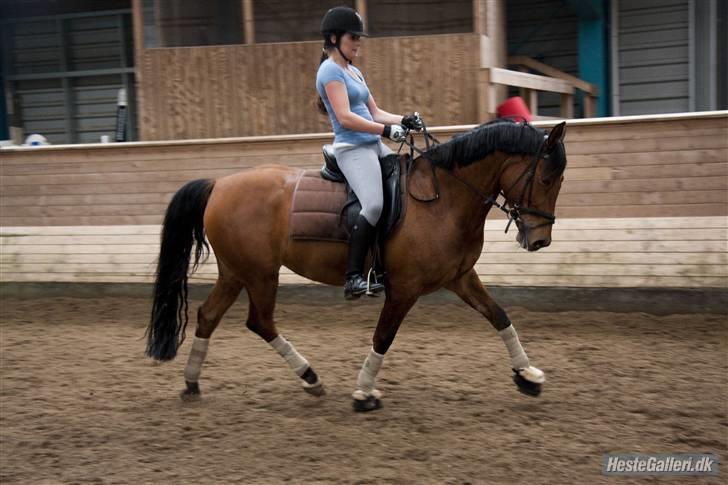 Anden særlig race Villiza RIP - Villiza og jeg, foråret 2010 billede 4