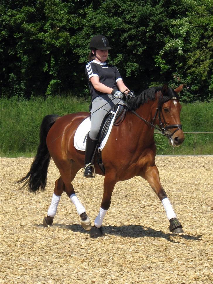 Anden særlig race Villiza RIP - Træning billede 5