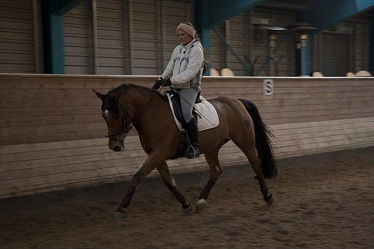 Anden særlig race Villiza RIP - træning, januar 2011 billede 9