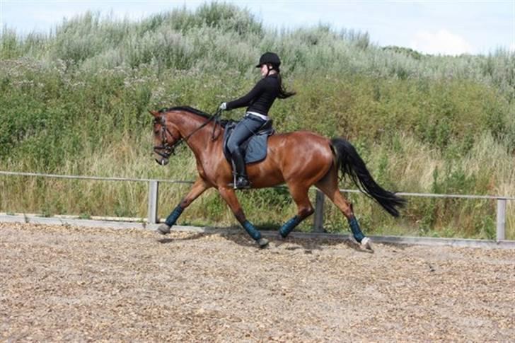 Anden særlig race Villiza RIP - træning juli 09 foto:mie billede 11