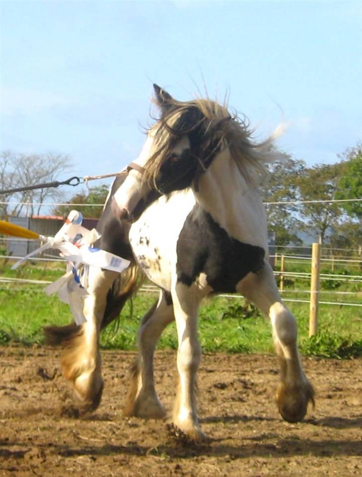 Tinker Vera Solgt billede 4