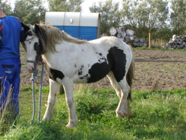 Tinker Vera Solgt billede 5