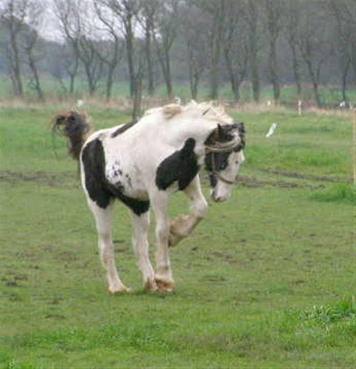 Tinker Vera Solgt billede 7