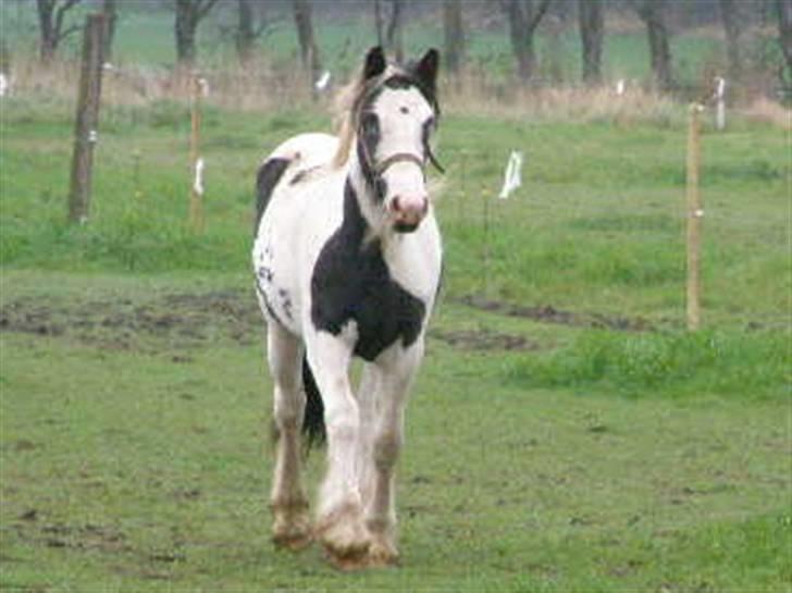 Tinker Vera Solgt billede 8