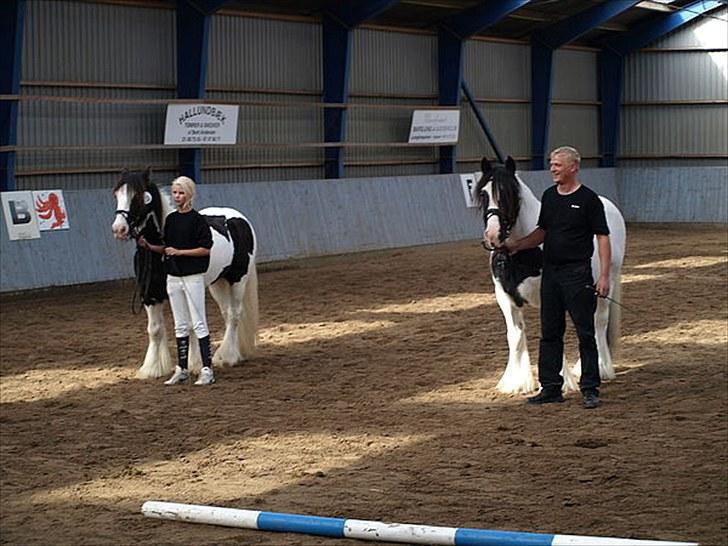 Irish Cob Beer's Paddy billede 7