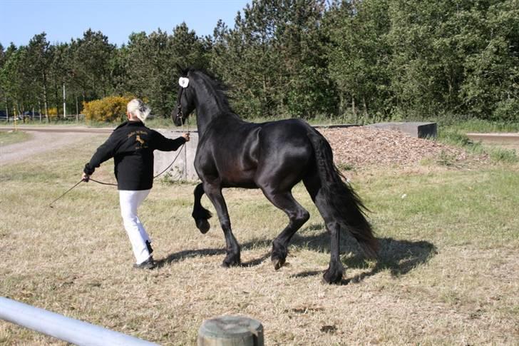 Frieser Teakjen B - SOLGT billede 13